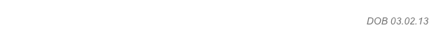Brohez Quite A Box Of Tricks  (ai) “Ricci” DOB 03.02.13
