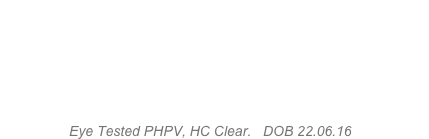 CH. Brohez Breaker Of Chains (ai)   BN. NAJ. TKN. “Maceo”  
Eye Tested PHPV, HC Clear.   DOB 22.06.16
