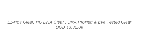 BISS CH. Brohez Archibald Da Rogue
L2-Hga Clear, HC DNA Clear , DNA Profiled & Eye Tested Clear
DOB 13.02.08